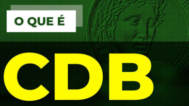 Tudo o que Você Precisa Saber